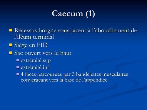 Anatomie Descriptive du Colon