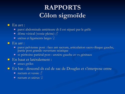 Anatomie Descriptive du Colon