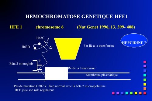 Hémochromatose