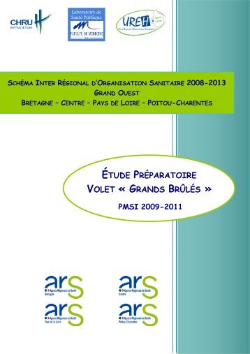 Étude préparatoire SIOS « Grands Brûlés » Activité PMSI 2009-2011