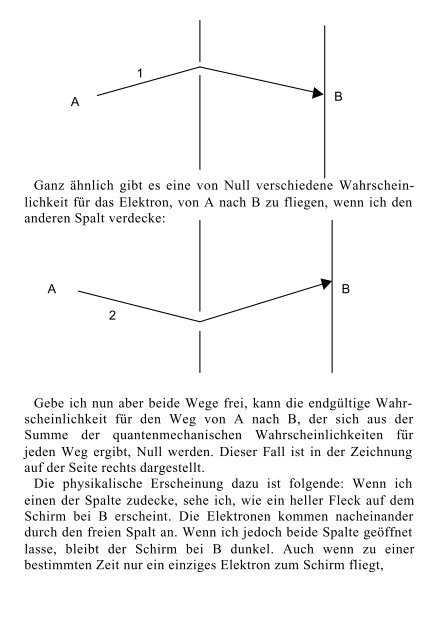 Lawrence M. Krauss - Nehmen wir an die Kuh ist eine Kugel