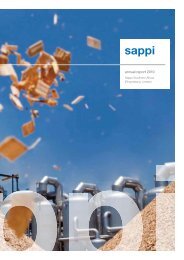 2010 Annual Report Sappi Southern Africa