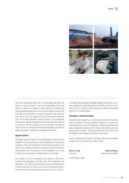 2008 Annual report - Sappi