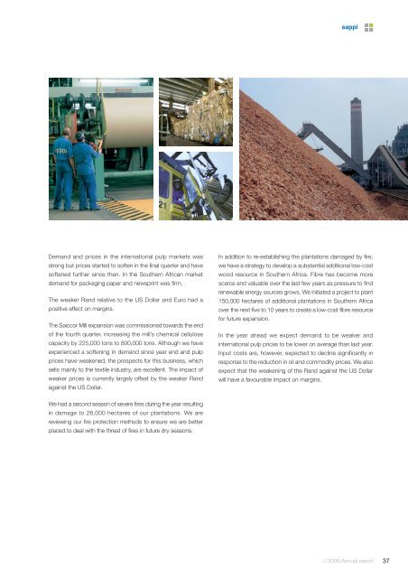 2008 Annual report - Sappi