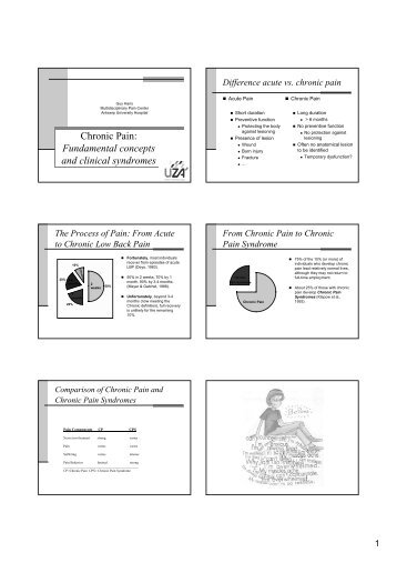 Chronic Pain: Fundamental concepts and clinical syndromes