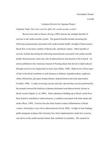 Christopher Warner 4/14/08 Literature Review for Capstone Project ...