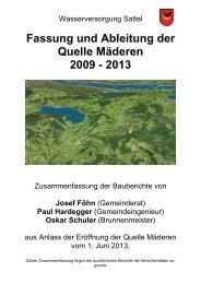 Fassung und Ableitung Quelle Mäderen - Gemeinde Sattel