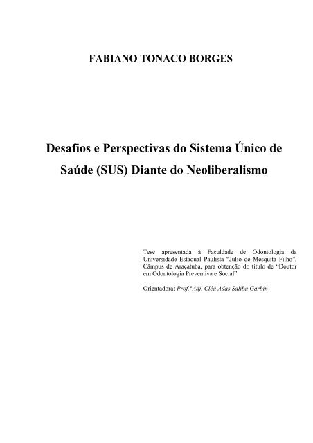 FABIANO TONACO BORGES Desafios e Perspectivas do Sistema ...