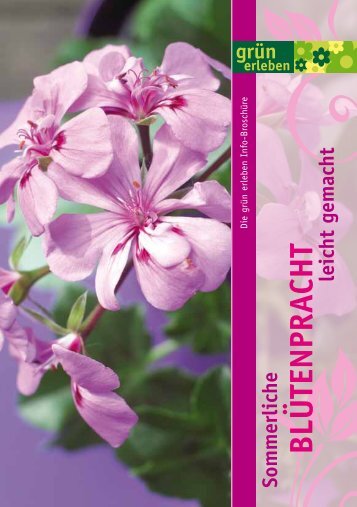 PDF öffnen - SAUTER grün erleben - sauter-gartenbau.de