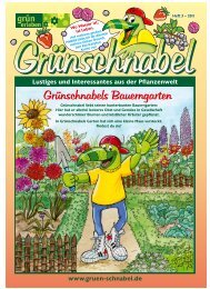 Grünschnabel Ausgabe 3/2011 - Grün erleben