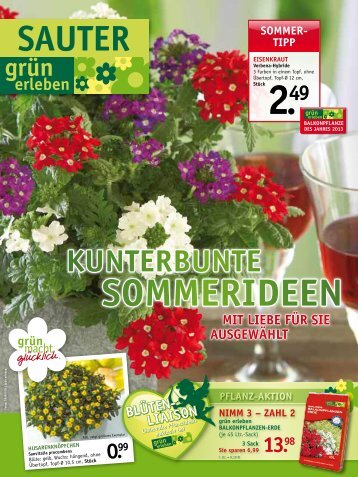 SOmmer - SAUTER grün erleben - sauter-gartenbau.de