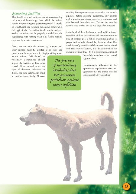 Rabies Guide 2010.pdf - the South African Veterinary Council