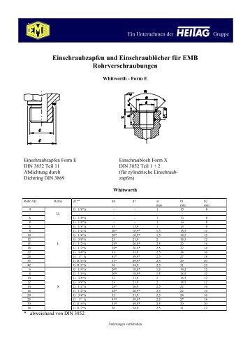 Einschraubzapfen und Einschraublöcher für EMB ...