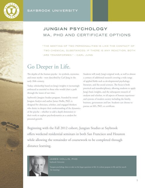 Specialization in Jungian Studies - Saybrook University