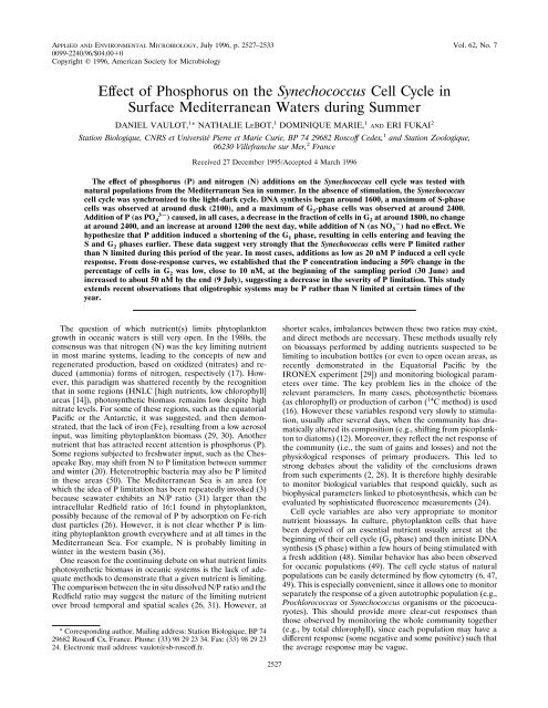 Effect of Phosphorus on the Synechococcus Cell Cycle in Surface ...