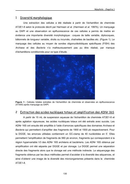 THESE Anne POSTEC DiversitÃƒÂ© de populations microbiennes ...