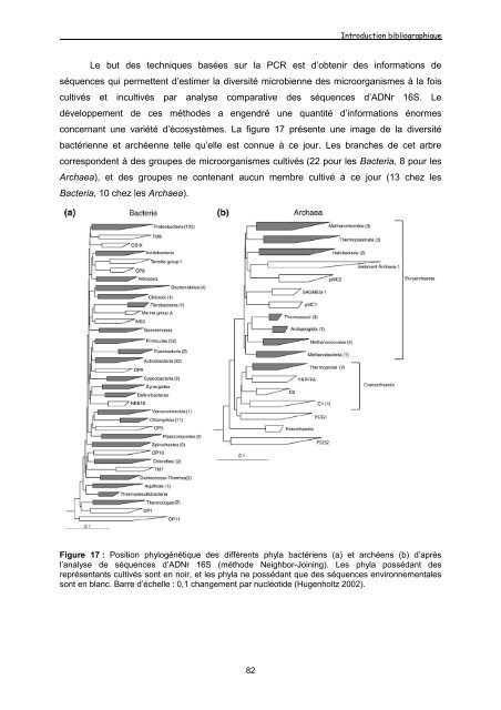 THESE Anne POSTEC DiversitÃƒÂ© de populations microbiennes ...