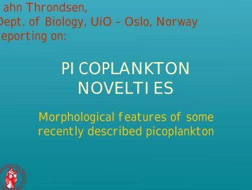 Picoplankton novelties - morphological features of some recently