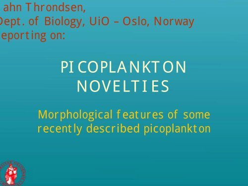 Picoplankton novelties - morphological features of some recently