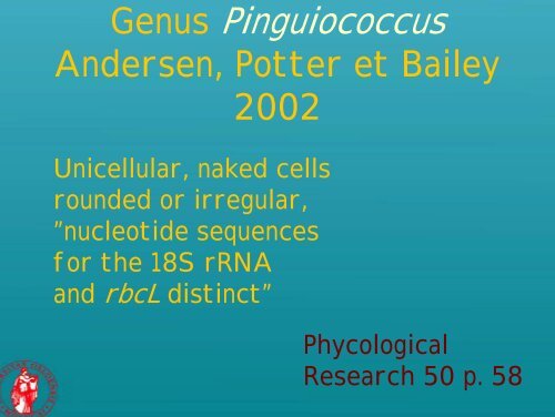 Picoplankton novelties - morphological features of some recently