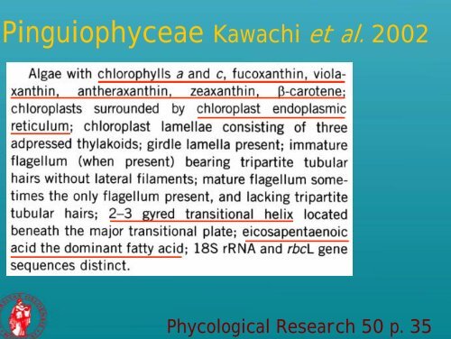 Picoplankton novelties - morphological features of some recently