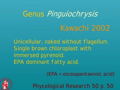 Picoplankton novelties - morphological features of some recently