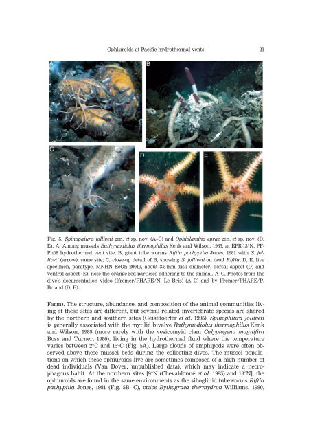 from Hydrothermal Vents in the East Pacific - Station Biologique de ...