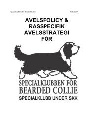 AVELSPOLICY & RASSPECIFIK - Specialklubben fÃƒÂ¶r Bearded Collie