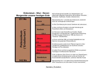 Einfuhrung_Evolution_Teil 3.pdf