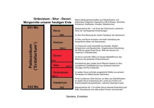 Einfuhrung_Evolution_Teil 3.pdf