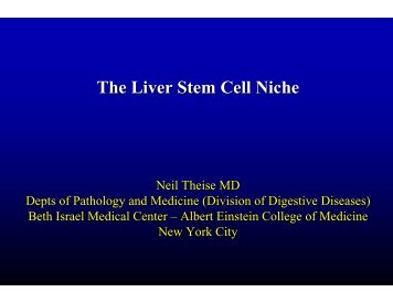 The Liver Stem Cell Niche - Conference on Systems Biology of ...