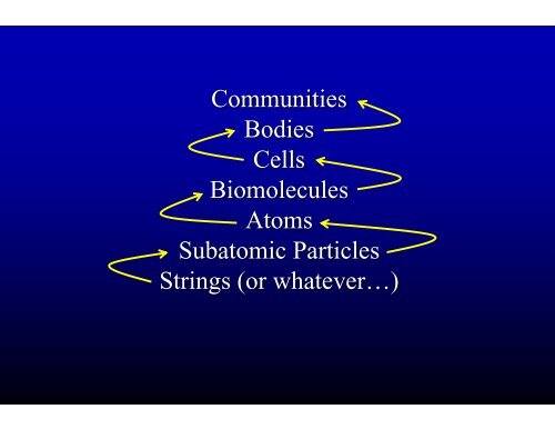 The Liver Stem Cell Niche - Conference on Systems Biology of ...