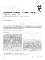 Chromosome numbers of Jatropha curcas L. - SBMP