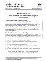 Low-Income Grant Supplement Program