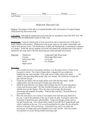 Mushroom Dissection Lab - North American Mycological Association