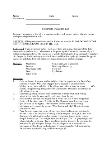 Mushroom Dissection Lab - North American Mycological Association