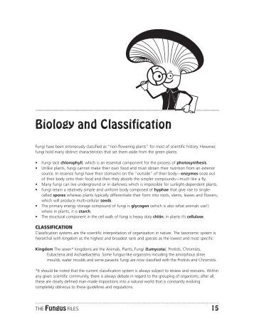 phylum porifera essay Animals are multicellular eukaryotic organisms that form the biological kingdom animalia many modern animal phyla became clearly established in the fossil record as marine species during the cambrian the most basal animals, the porifera, ctenophora, cnidaria, and placozoa, have body plans that lack bilateral . phylum porifera essay Animals are multicellular eukaryotic organisms that form the biological kingdom animalia many modern animal phyla became clearly established in the fossil record as marine species during the cambrian the most basal animals, the porifera, ctenophora, cnidaria, and placozoa, have body plans that lack bilateral .