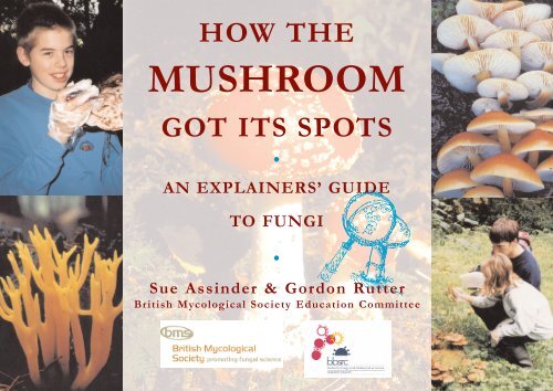 30X Handheld Microscope: Detailed Observations for Mushroom Cultivation