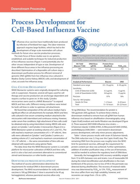 Process Development for Cell-Based Influenza Vaccine