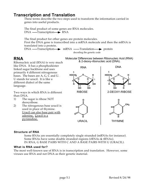 Transcription and Translation RNA