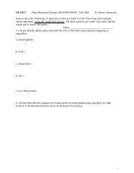 EXAM 2 Plant Molecular Biology (Bio350M/388M) Fall 2002 D ...