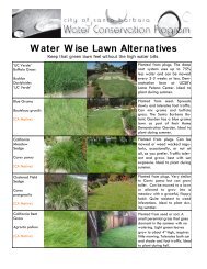 Water W ise Lawn Alternatives