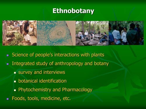 Plant Science - Mahidol University