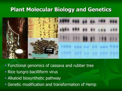 Plant Science - Mahidol University