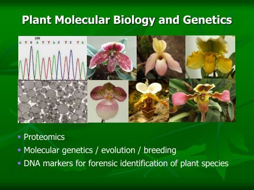 Plant Science - Mahidol University