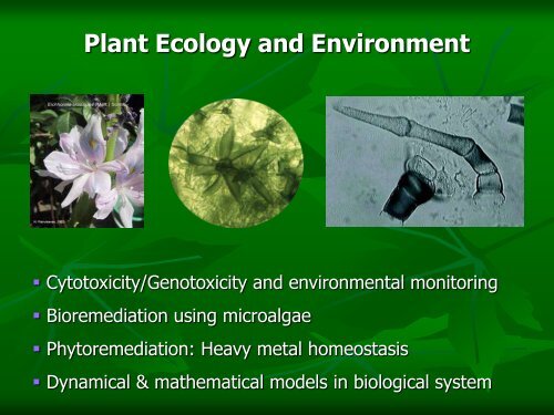 Plant Science - Mahidol University