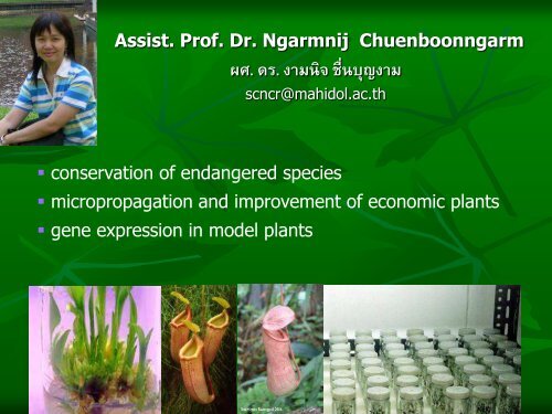 Plant Science - Mahidol University