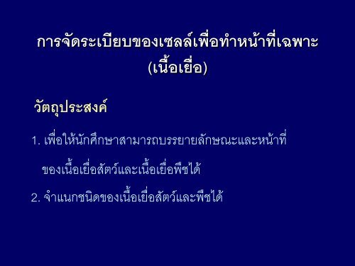 Ã Â¸ÂŠÃ Â¸Â™Ã Â¸Â´Ã Â¸Â”Ã Â¸Â—Ã Â¸ÂµÃ Â¹ÂˆÃ Â¹Â€Ã Â¸Â›Ã¯ÂœÂ’Ã Â¸Â™Ã Â¹Â€Ã Â¸Â‹Ã Â¸Â¥Ã Â¸Â¥