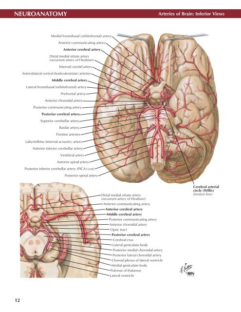 Neuro Atlas