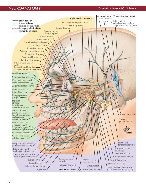 Neuro Atlas